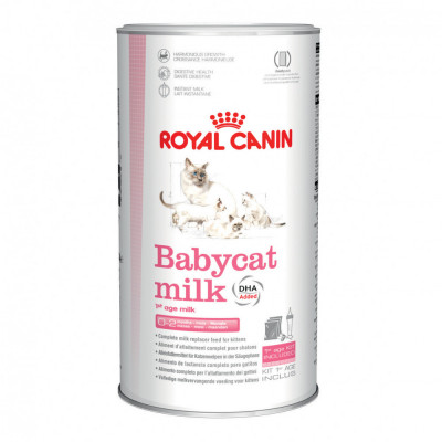 Lapte praf pentru pisici Royal Canin, Babycat Milk, 300g foto