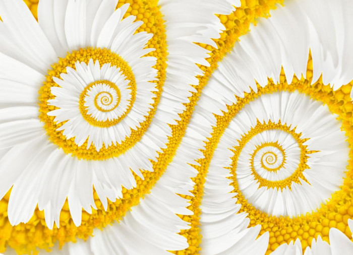 Tablou canvas Spirale albe, 90 x 60 cm