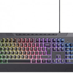 Tastatura Gaming Trust GXT 836 Evocs, iluminare RGB, USB-A (Negru)