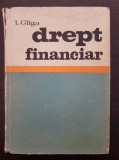 DREPT FINANCIAR - Gliga