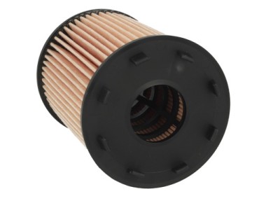 MTR 12138316 Filtru ulei foto