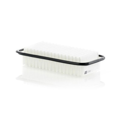 Filtru aer Mann-Filter C2513 foto