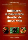 Infiintarea si exploatarea livezilor de cires si visin
