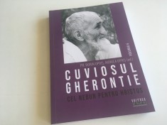 Cuviosul Gherontie de la Tismana, cel nebun pentru Hristos. Vol. 6
