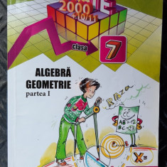 ALGEBRA GEOMETRIE CLASA A VII A PARTEA 1 - BRANZEI ,NEGRILA