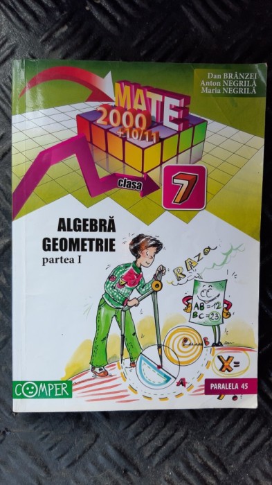 ALGEBRA GEOMETRIE CLASA A VII A PARTEA 1 - BRANZEI ,NEGRILA