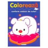 Activități. Colorează conform codului de culori - Paperback brosat - *** - Girasol