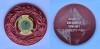 Jocurile Balcanice Seniori - Bucuresti 1982, Medalie premiu bronz - Locul 3