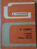 G. COSBUC O PRIVIRE ASUPRA OPEREI LITERARE-D. VATAMANIUC
