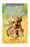 O paradă fantastică. Cățelușul fermecat (Vol. 7) - Paperback - Sue Bentley - Litera