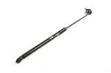 Amortizor capota st&acirc;nga față LEXUS RX _L1_ 2014 OEM: 53450-0W170 11708359