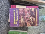 &Icirc;nchisoarea de la malul mării vintage