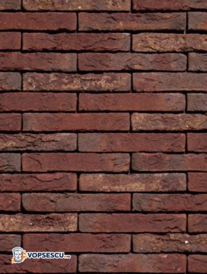 Coltar klinker Terca Classo Blauw-Rood Genuanceerd Gesinterd, 21x5x2.3 cm foto