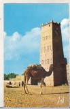 bnk cp Algeria - camila - necirculata