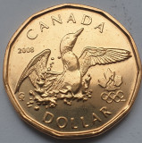 Monedă 1 Dollar 2008 Canada, unc, Lucky Loonie, km#787, America de Nord
