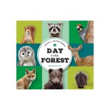 Animal Adventures: Day in the Forest