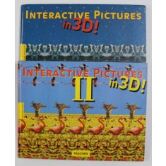INTERACTIVE PICTURE IN 3 D ! TWO VOLUMES , 1994, TEXT IN ENGLEZA , GERMANA , FRANCEZA