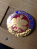Insigne (4) PRM Partidul Romania Mare