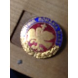 Insigne (4) PRM Partidul Romania Mare