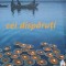 CEI DISPARUTI-KIM ECHLIN-256223