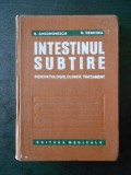 B. GHEORGHESCU - INTESTINUL SUBTIRE