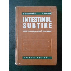 B. GHEORGHESCU - INTESTINUL SUBTIRE