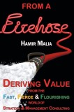 From a Firehose: Deriving Value from the Fast, Fierce &amp; Flourishing World of Strategy &amp; Management Consulting