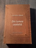 Din lumea cealalta Laurentiu Stoian