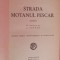 myh 50f - Jolan Foldes - Strada motanul pescar - editie interbelica