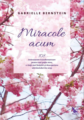 Miracole acum &amp;ndash; Gabrielle Bernstein foto