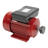 Motor electric 2.2KW, 3000rpm, ax 24mm, Troian, rosu, Micul Fermier, GF-1157