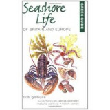 Green Guide Seashore Life of Britain and Europe (Green Guides)