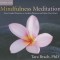 Mindfulness Meditation: Nine Guided Practices to Awaken Presence and Open Your Heart