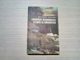 CARPATI ROMANESTI CETATE SI DRUMETIE - Radu Theodoru, M. Dragu - 1983, 311 p.