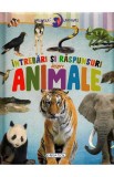 Primele lecturi: Intrebari si raspunsuri despre animale - Autor Anonim