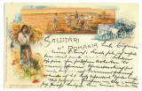 2547 - ETHNICS at field work, Litho, Romania - old postcard - used - 1898, Circulata, Printata