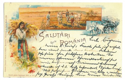 2547 - ETHNICS at field work, Litho, Romania - old postcard - used - 1898 foto