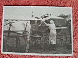 Fotografie, la ferma cu sareta, perioada interbelica