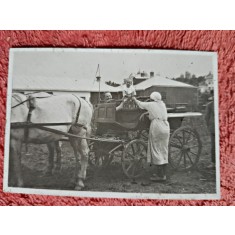 Fotografie, la ferma cu sareta, perioada interbelica