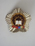 M3 L 49 - Insigna - tematica comunism - Fruntas in intrecere - 1975, Romania de la 1950