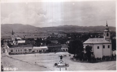Beius (necirculata) foto