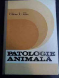 Patologie Animala - O. Popa, Al. Grecianu, L. Bran, T. Buhatel ,546837, Didactica Si Pedagogica