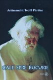 Cumpara ieftin Cale spre bucurie - 2009 - Arhimandrit Teofil Paraian (G263)