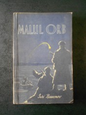IURI BESSONOV - MALUL ORB foto