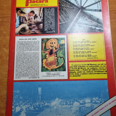 revista flacara 15 noiembrie 1975-mina aninoasa,orasul focsani,cenaclul flacara