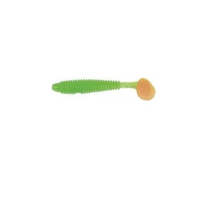 SHAD JAXON INTENSA IND 10CM L 5/PLIC foto