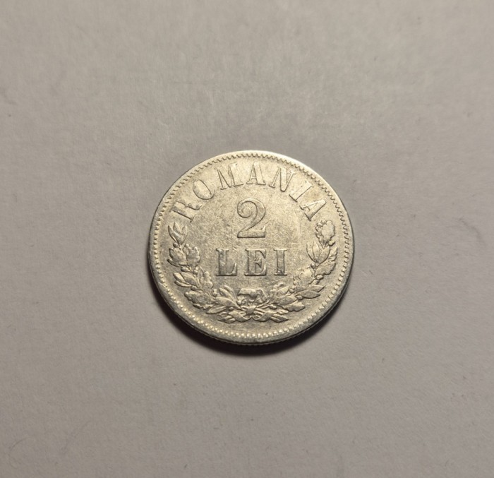 2 lei 1873 Frumoasa