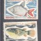Tchad 1969 Fish, MNH AE.184