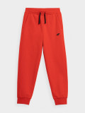 Pantaloni jogger de molton pentru băieți, 4F Sportswear