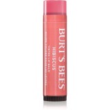 Burt&rsquo;s Bees Tinted Lip Balm balsam de buze culoare Hibiscus 4.25 g